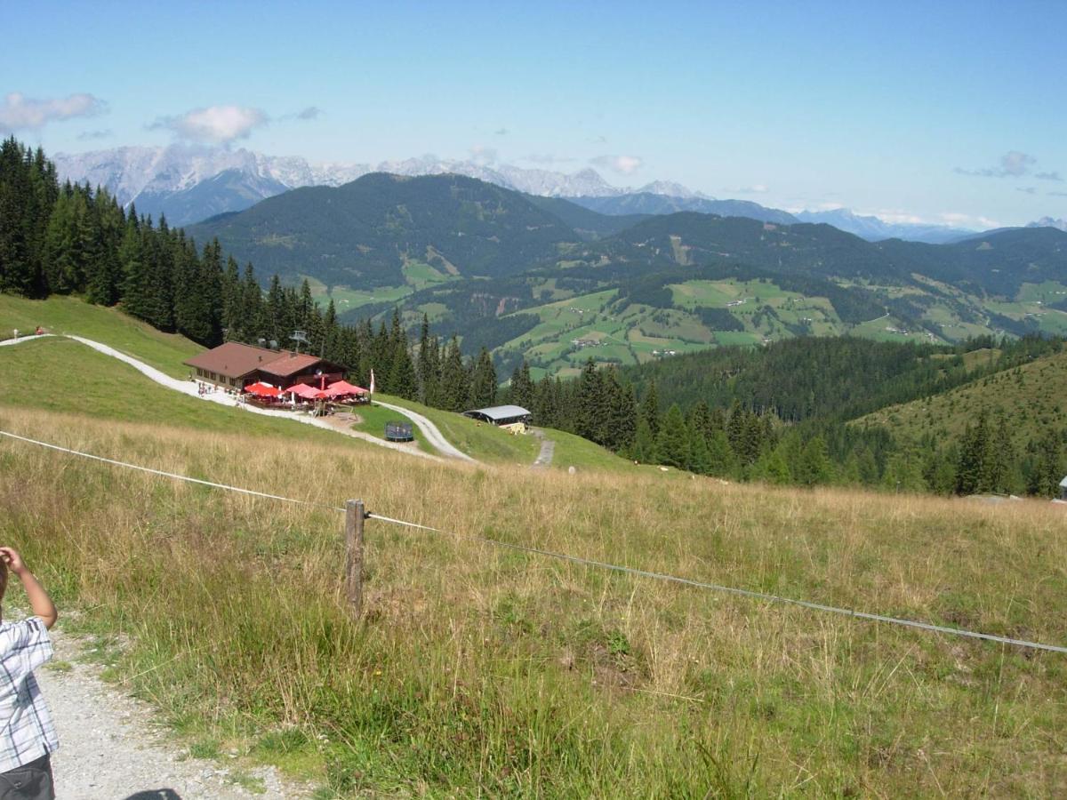 Landhaus Fingerhof Flachau Kültér fotó