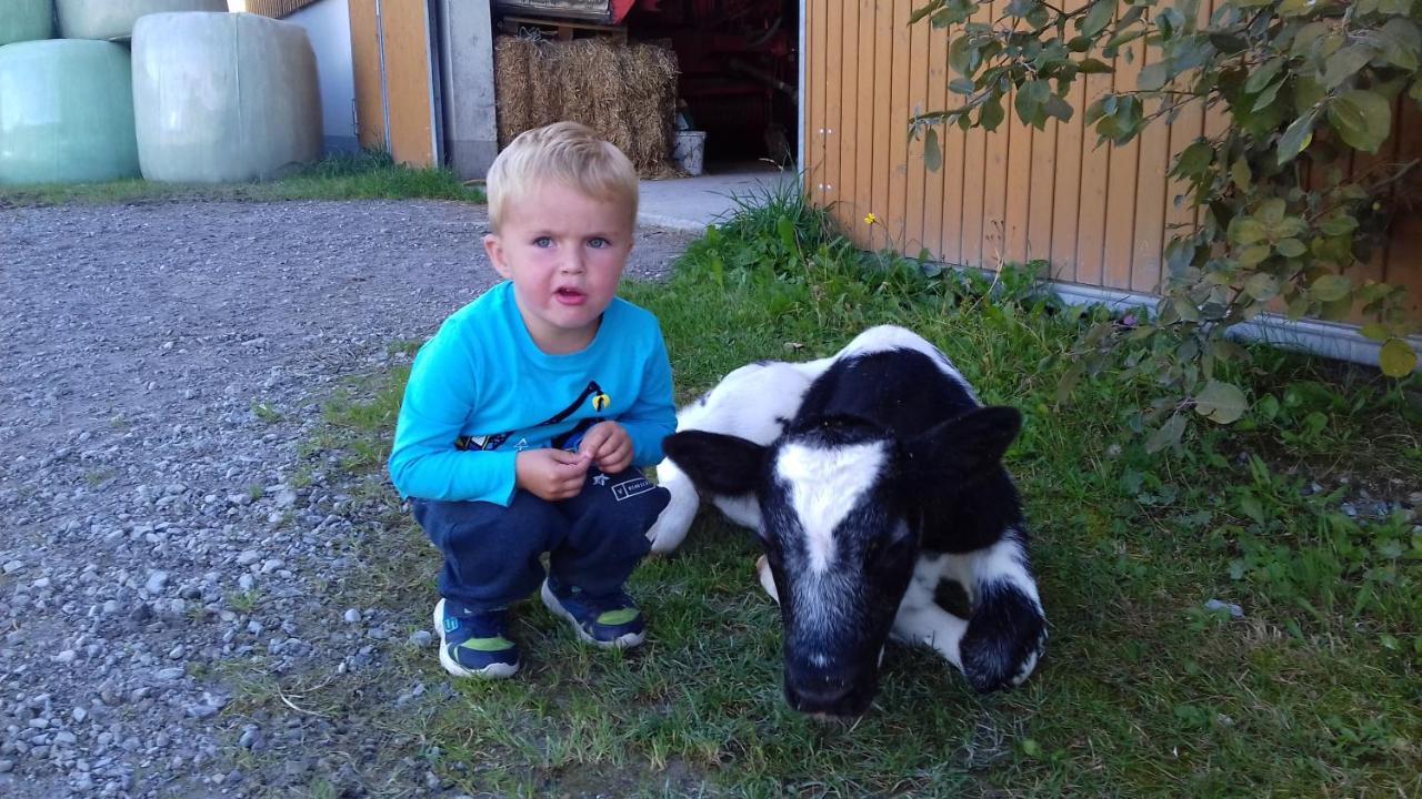 Landhaus Fingerhof Flachau Kültér fotó